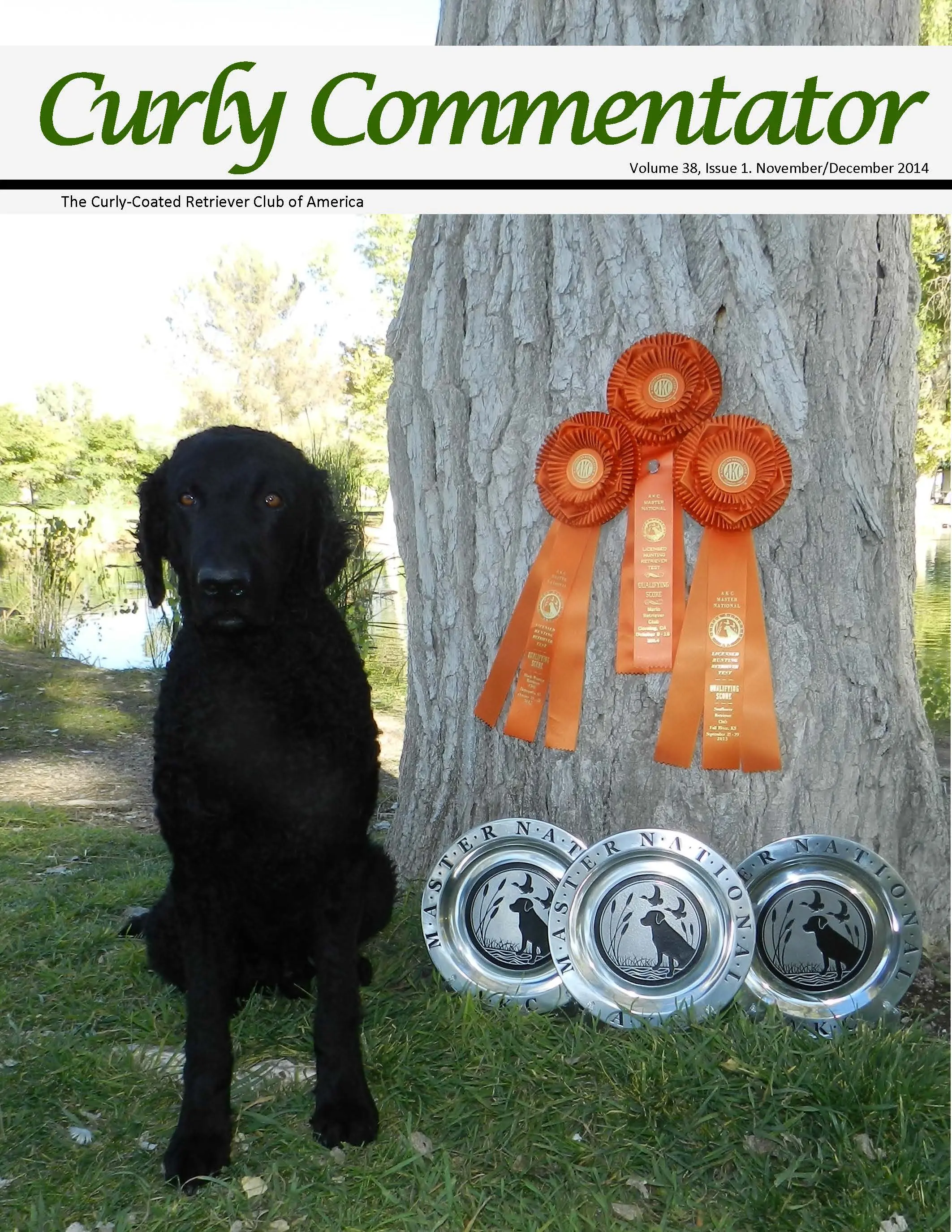 Angus is the first Curly Coat in the Master National Hall of Fame