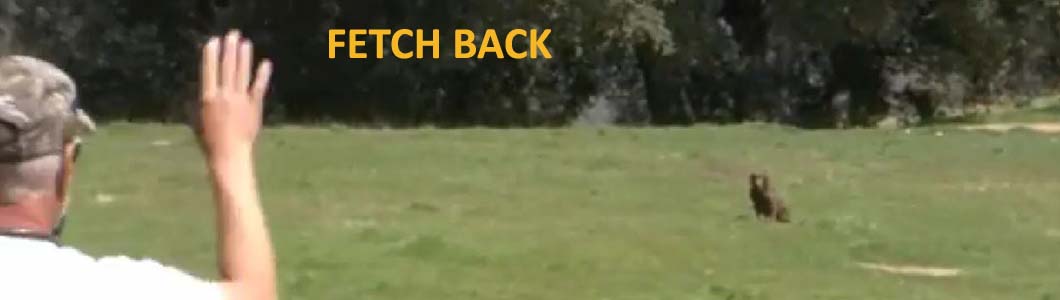 Fetch Back
