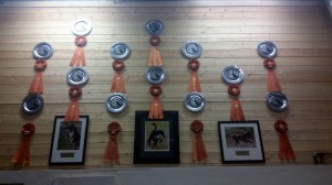 Raney Dogs AKC Masters Wall