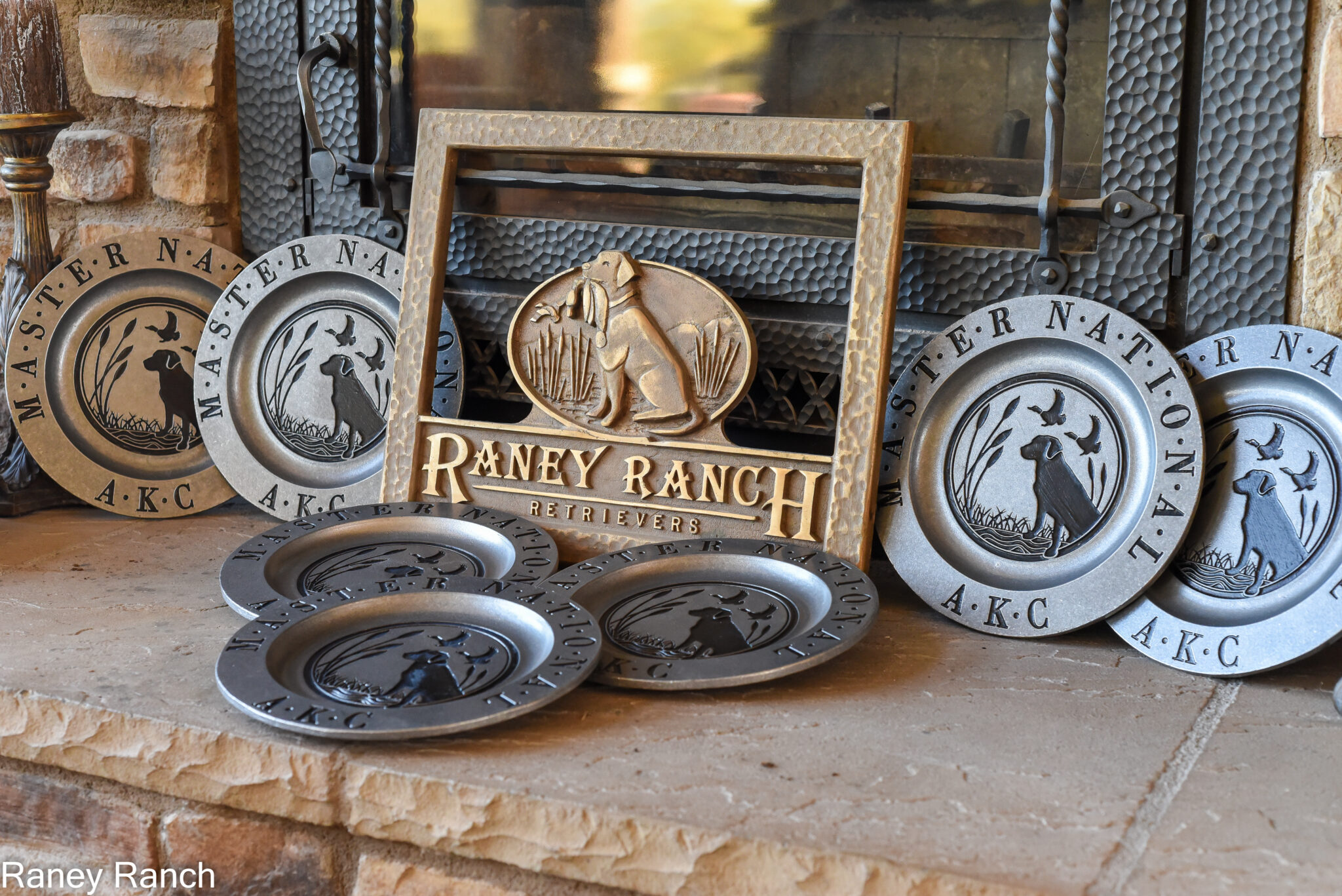 San Diego Labrador Retrievers - Raney Ranch Retrievers
